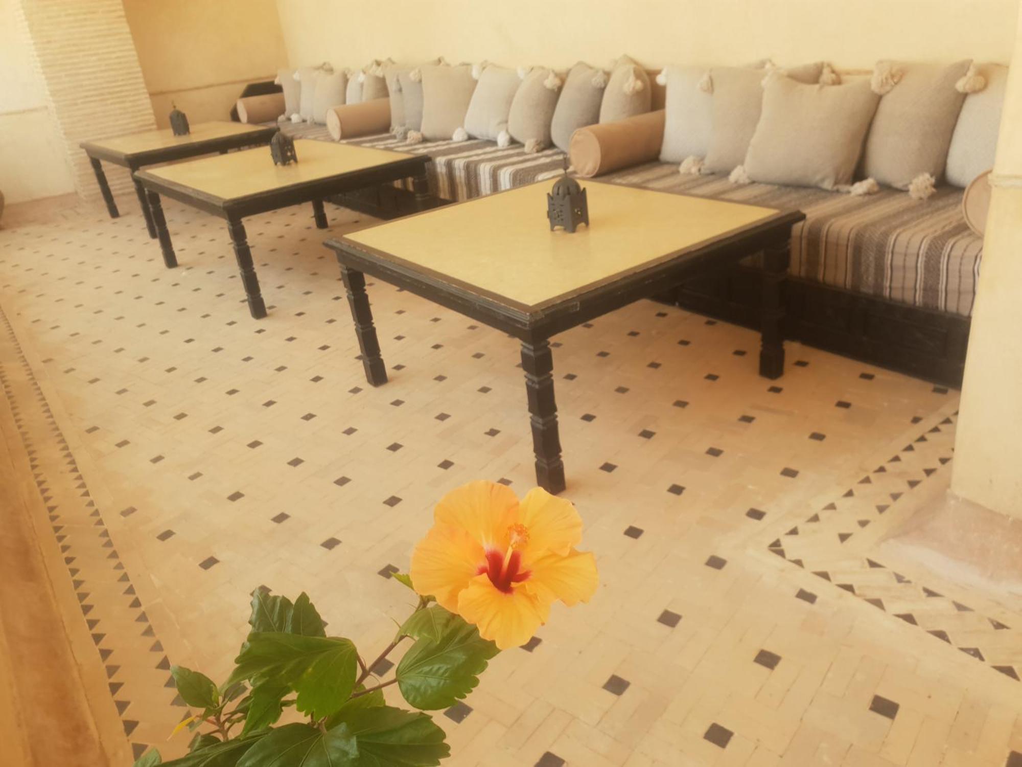 Riad Dar Haven Tamraght Exterior photo